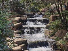 -中国茶叶博物馆(双峰馆区)