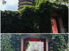 -万松老人塔