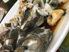 龙趸鱼-台山美食一绝阿四台山黄鳝饭(阿四创作店)