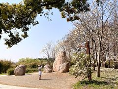 -上海共青森林公园