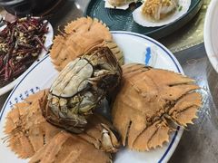 -小海丁