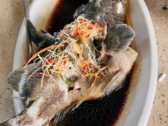 -琼大师东方烤乳猪(亚特兰蒂斯店)