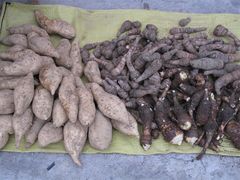 -龙潭生态旅游度假区