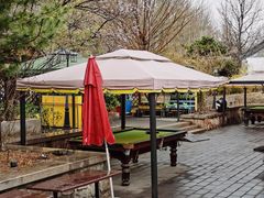 -尚庄度假村·庭台树下·户外烧烤·团建CS·轰趴营地(上庄水库店)