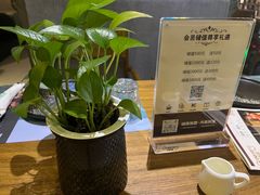 -绿茵阁(江南西路店)