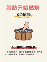 -Fundi张玉珊修身堂·indiba·BTL科技瘦身