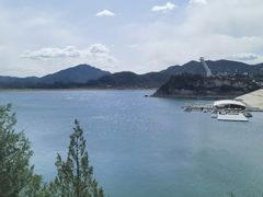 -望湖烤鱼