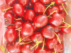 -大连果菜批发市场