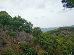 -金鸡山公园