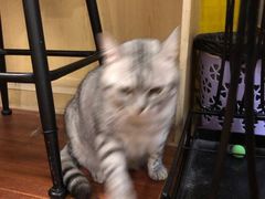 -H立方实景剧情密室(天河旗舰店)