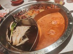 -大龙燚·旷野鲜火锅(广州首店)