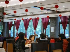 大堂-文杏酒楼(一品天下店)
