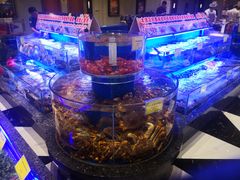 水产区-新海渔港·胶东海鲜家常菜·家宴(奥体中心店)