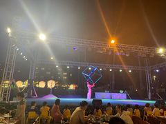 -渔家火锅·海鲜自助餐·演艺(亚龙湾天域酒店)