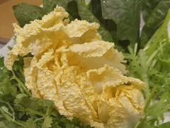 -草原传奇鲜羊火锅(桥北店)