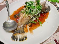 -協成海鮮火鍋(老店)