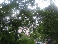 -茶泡饭(李子坝店)