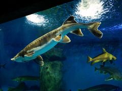 -多彩贵州城极地海洋世界