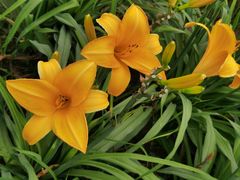 -汉长安城未央宫国家考古遗址公园