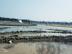 -上海都市菜园