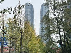 -合景·悠方(成都店)