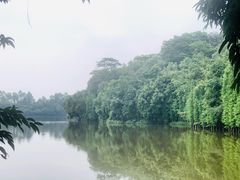 -三水森林公园