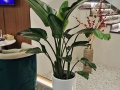 -圣和足道·瑶浴SPA·养生茶府(光华店)