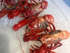 -红盔甲·小龙虾(天钥桥店)