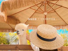 -珠海海泉湾神秘岛亲子乐园