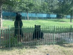 -秦皇岛野生动物园