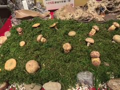 -福照楼汽锅鸡·云南菜(火车站锦江店)