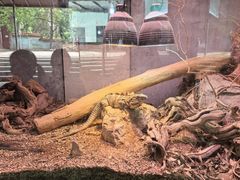 -昆明动物园