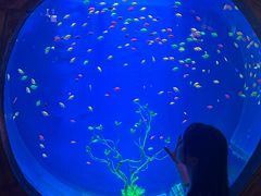 -华夏文旅海洋公园