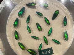 -陕西自然博物馆