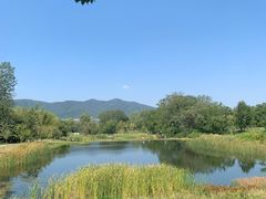 -雅达·阳羡溪山小镇中心