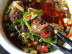 -汉源贡嘎湖生态黄牛肉(贡嘎湖商务酒店)