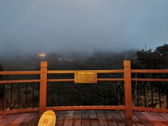 -三亚亚龙湾人间天堂鸟巢度假村