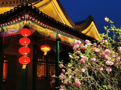 -白家大院·王府宫廷菜(苏州街店)