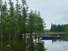 -白鹭湾湿地公园
