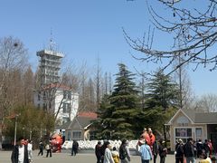 -日照海滨国家森林公园