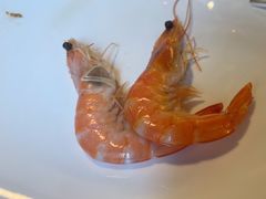 -OPEN開全日自助餐厅·牛肉火锅·海鲜(佛山希尔顿酒店)