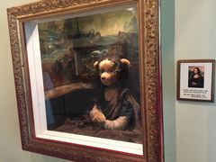 -济州岛泰迪熊博物馆