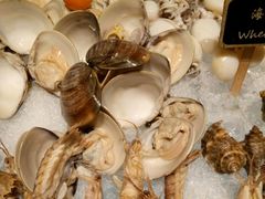 -马哥孛罗咖啡厅·Cafe Marco (厦门马哥孛罗东方大酒店)