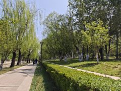 -元大都城垣遗址公园