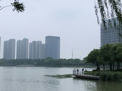 -南翔镇银翔湖公园