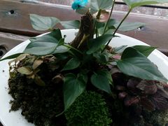 -临家闽南菜(翔安店)