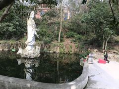 -紫金山山顶公园