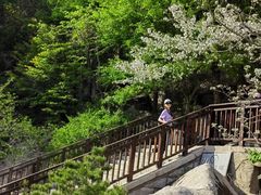 -崂山巨峰游览区