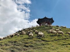 -日月山景区