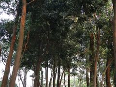 -小南山公园